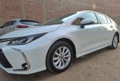 Rent a Toyota Corolla in Cairo at the best prices and services.